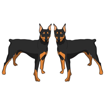 Signmission German Pinscher Dog Decal, Dog Lover Decor Vinyl Sticker D-18-German Pinscher